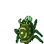 Moss Brimstone Bug