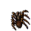 Tarantula
