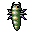 Larva