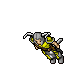 Crusader