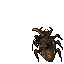 Wasp Queen Matriarch