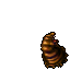 Course Carrion Worm