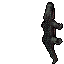 Killer Caiman