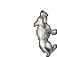 Frostfur