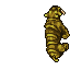 Rebirth Sabretooth