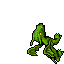 Dragon Hatchling