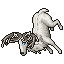 White Deer